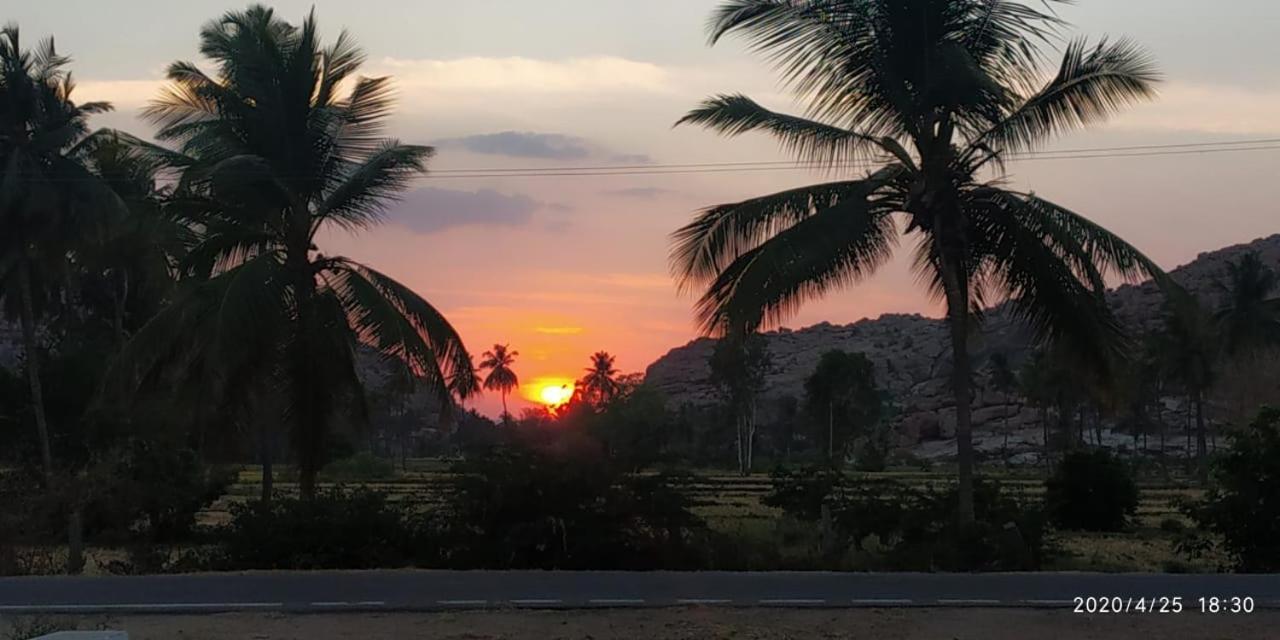 Island Vibes Hampi Guesthouse מראה חיצוני תמונה